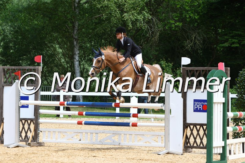 006M7197_Spring L.JPG